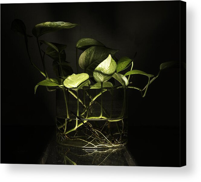Bottom Light Acrylic Print featuring the photograph From the bottom by Rajiv Chopra