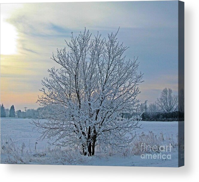Winter Acrylic Print featuring the photograph Frosted Sunrise by Heather King