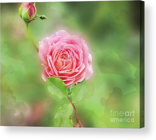 Fully Open Acrylic Print featuring the digital art Fully Open by Victoria Harrington