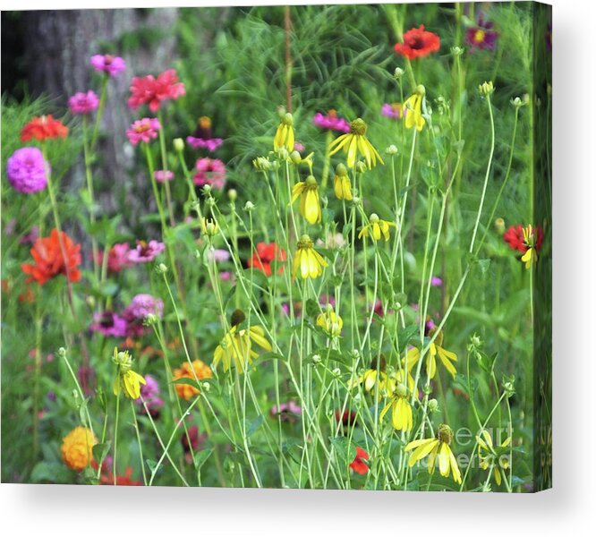 Wildflowers Acrylic Print featuring the photograph Garden 2 by Lizi Beard-Ward