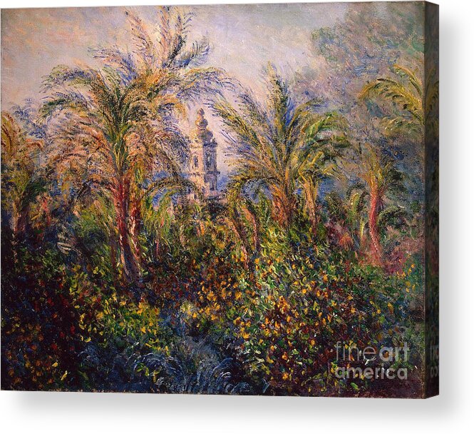 Garden Acrylic Print featuring the painting Garden in Bordighera Impression of Morning by Claude Monet