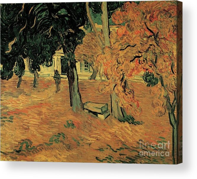 Vincent Van Gogh Garden Of Saint-paul 1889 Acrylic Print featuring the painting Garden of Saint-Paul by MotionAge Designs