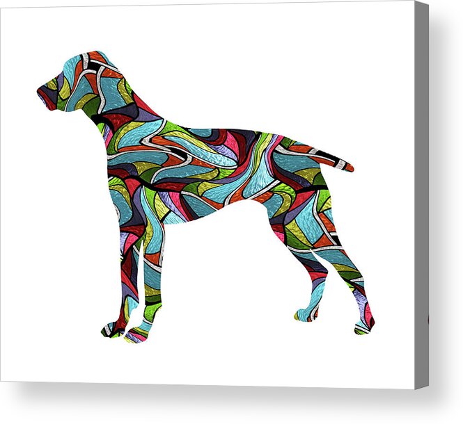 German Shorthaired Pointer Acrylic Print featuring the digital art German Shorthaired Pointer Spirit Glass by Gregory Murray