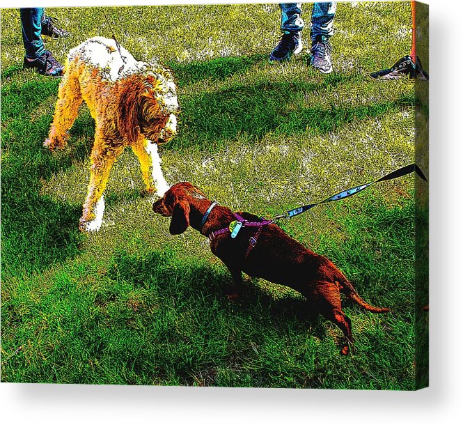 Dogs Acrylic Print featuring the digital art Getting to Know You by Cliff Wilson