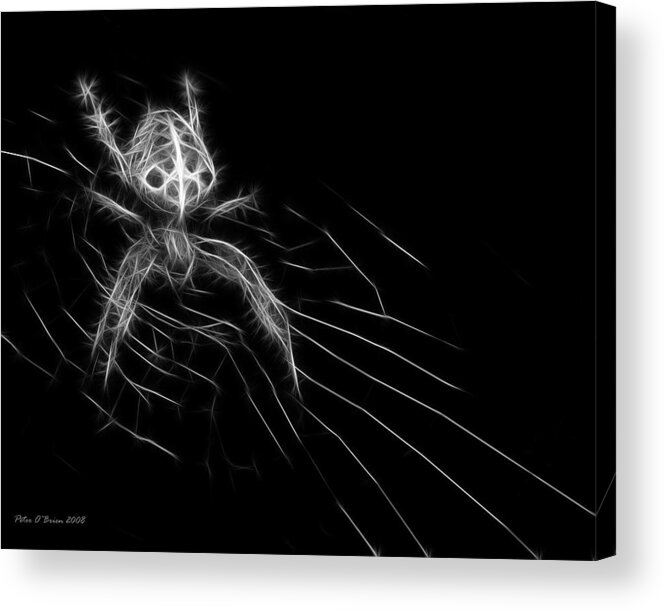 Ghost Spider Acrylic Print featuring the photograph Ghost Spider by Peter OBrien