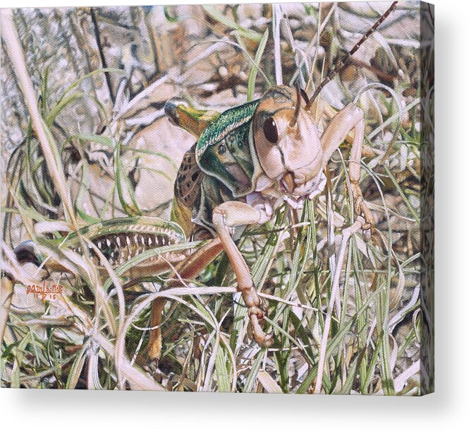Grasshopper Acrylic Print featuring the painting Giant Grasshopper by Joshua Martin
