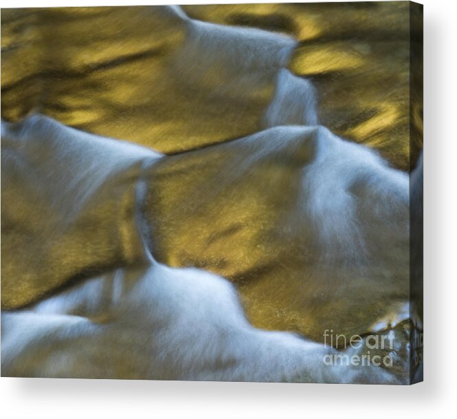 Art Acrylic Print featuring the photograph Gold Scales by Phil Spitze