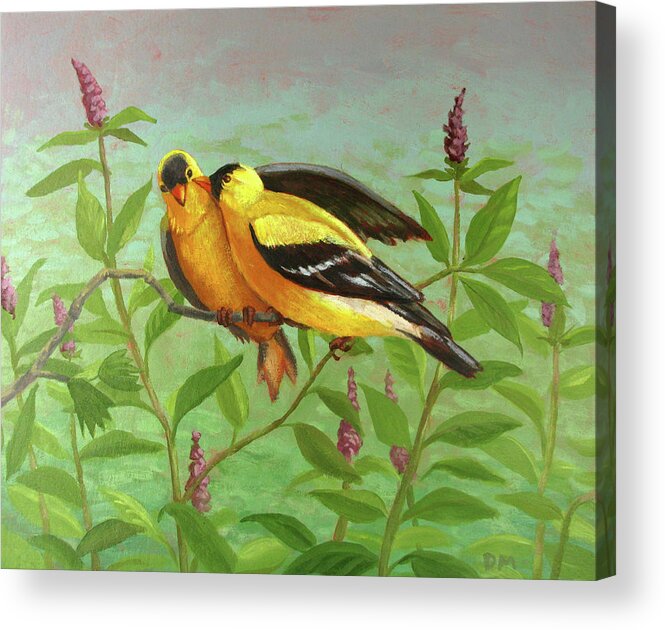 Yellow Acrylic Print featuring the painting Goldfinch Love by Don Morgan