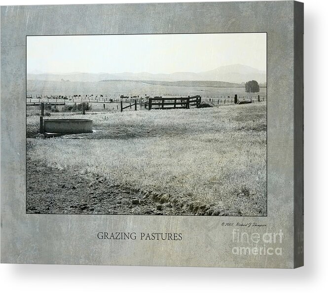 Black And White Acrylic Print featuring the photograph Grazing Pastures by Richard J Thompson 