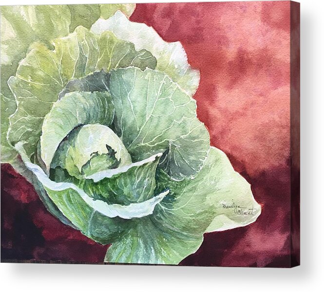 Cabbage Acrylic Print featuring the painting Green Cabbage by Marilyn Clement