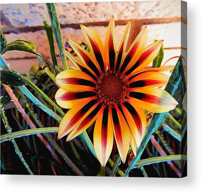 Flowers Acrylic Print featuring the photograph Happy Amongst The Weeds by Pennie McCracken