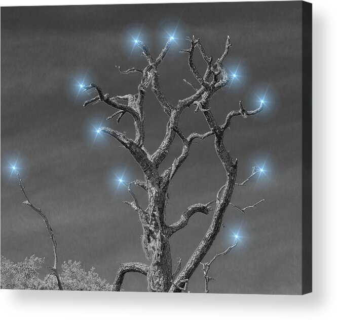Tree Trunk Acrylic Print featuring the photograph Happy Holidays by Richard Goldman