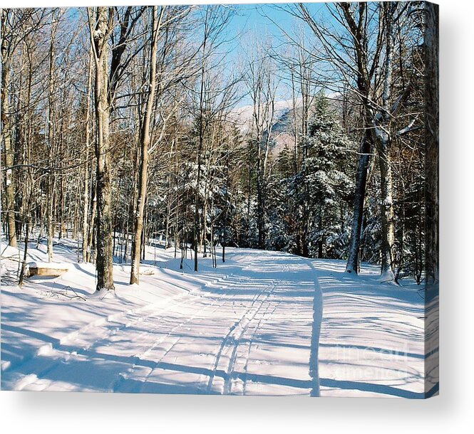 Winter Acrylic Print featuring the photograph Happy Trails by Phil Spitze