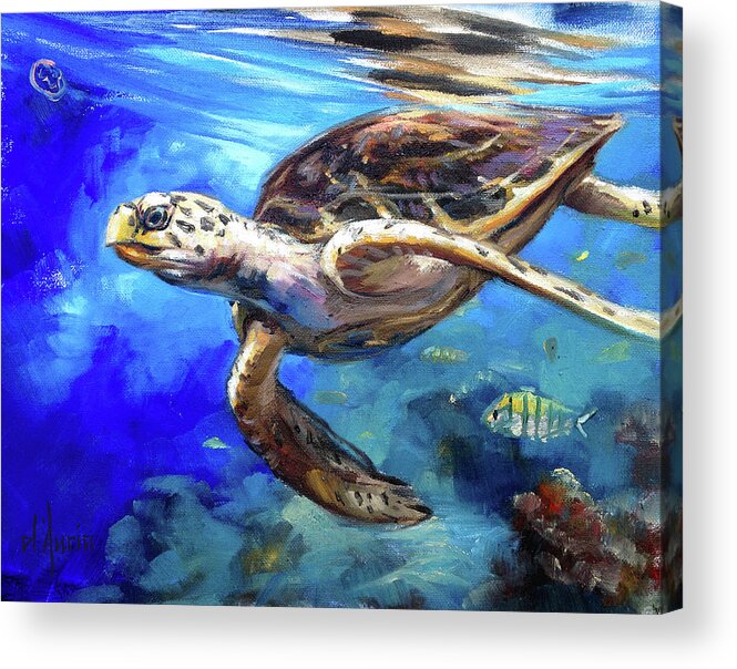 Sea Turtle Acrylic Print featuring the painting Hawksbill by Tom Dauria