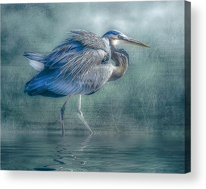 Heron Acrylic Print featuring the photograph Heron's Pool by Brian Tarr