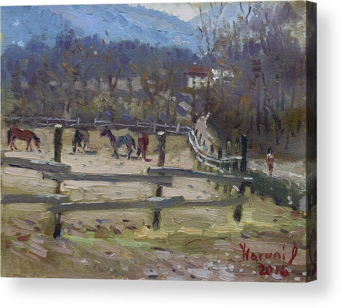 Horse Farm Acrylic Print featuring the painting Horse Farm in Limana by Ylli Haruni