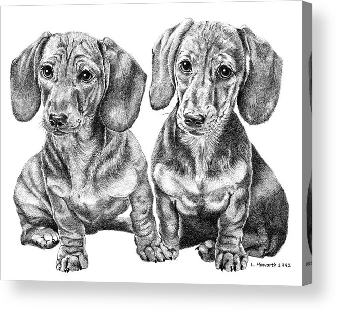 Dog Acrylic Print featuring the drawing Hot Dogs by Louise Howarth