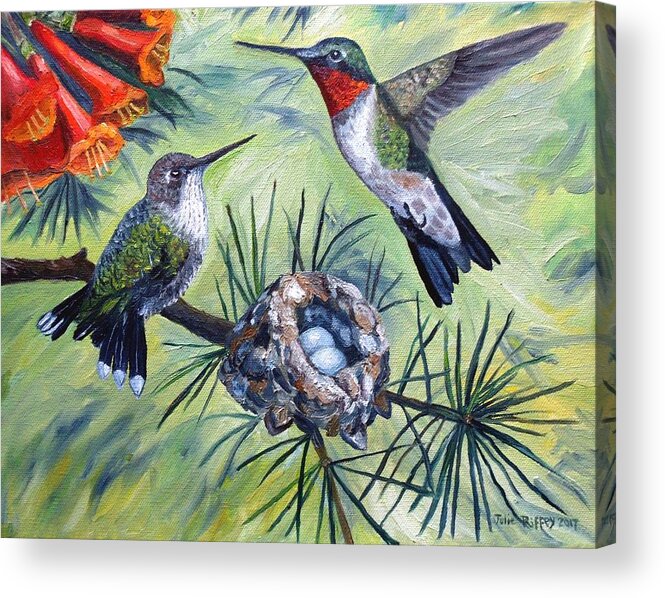 Hummingbirds Acrylic Print featuring the painting Hummingbird Family by Julie Brugh Riffey