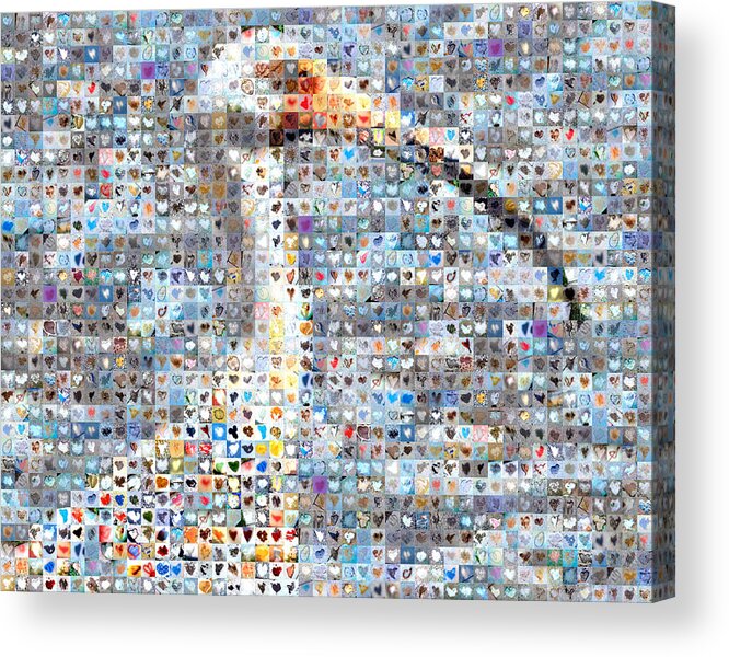 Heart Images Acrylic Print featuring the photograph Ibis by Boy Sees Hearts