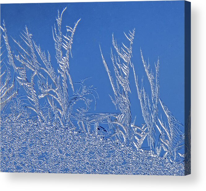 Ice Acrylic Print featuring the photograph Ice Crystals 3 by Ira Marcus