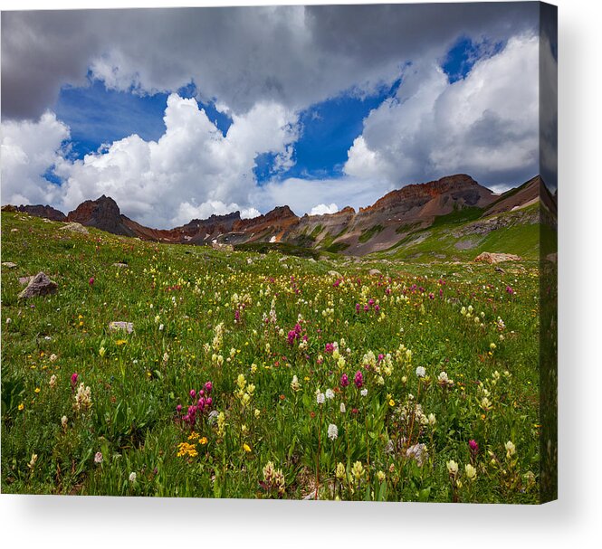 Colorado Acrylic Print featuring the photograph Ice Lake Meadow by Darren White