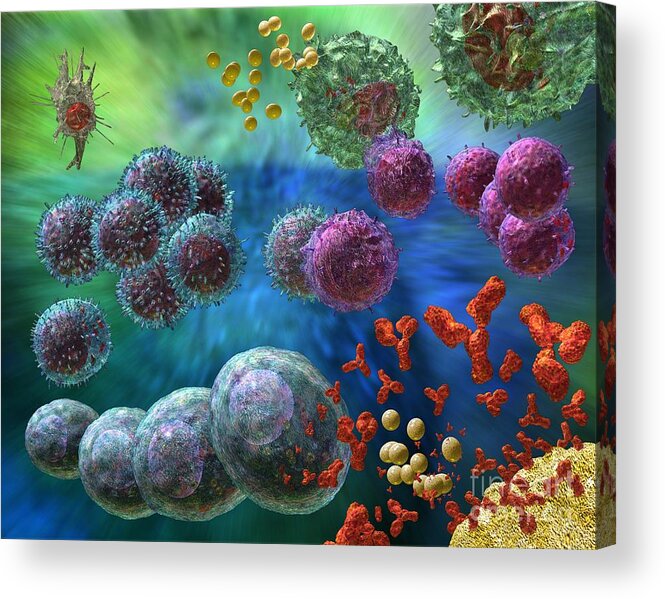 Antibodies Acrylic Print featuring the photograph Immune Response Antibody 4 by Russell Kightley