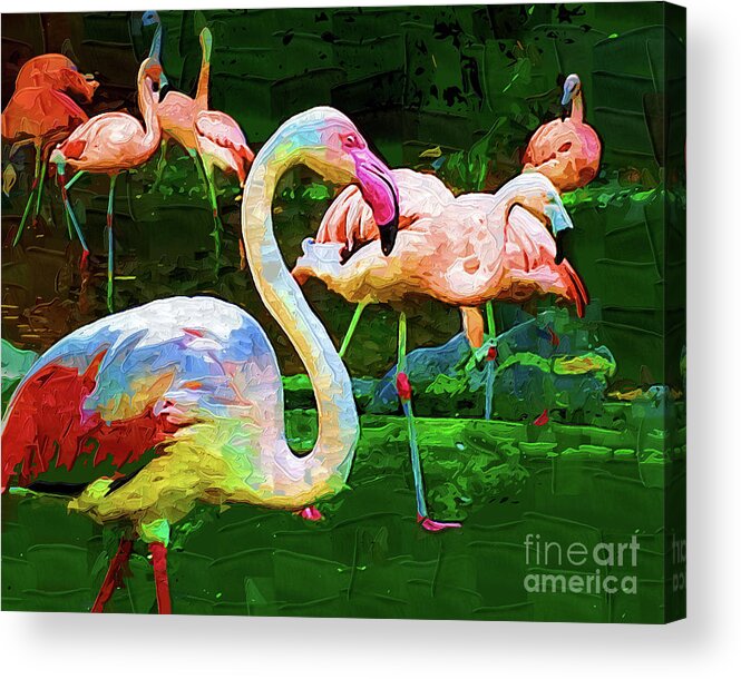 Tropical-birds Acrylic Print featuring the digital art Impasto Flamingo by Kirt Tisdale