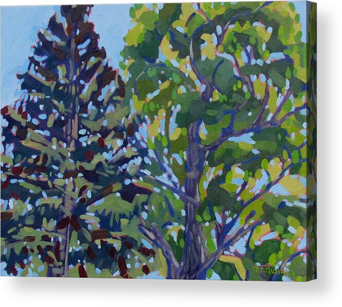 902 Acrylic Print featuring the painting In the Tree Tops by Phil Chadwick