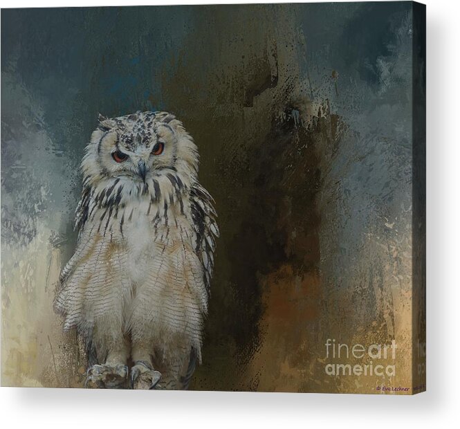 Indian Eagle-owl Acrylic Print featuring the photograph Indian Eagle-Owl by Eva Lechner
