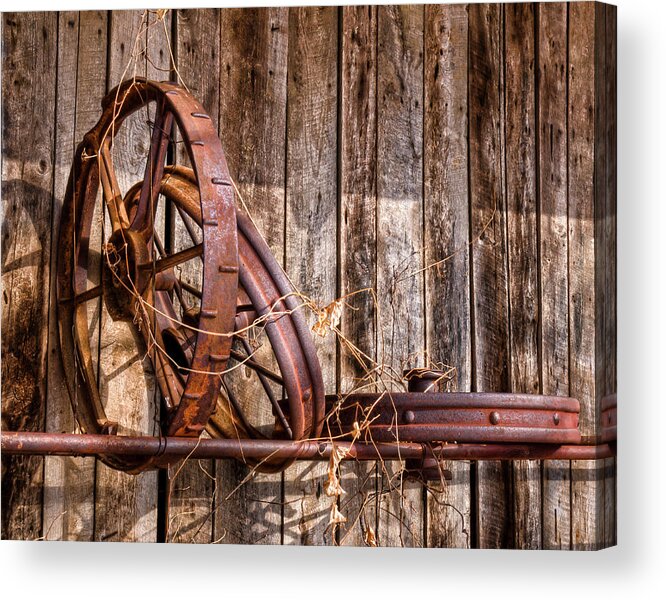 Still Life Acrylic Print featuring the photograph Iron by Ron McGinnis