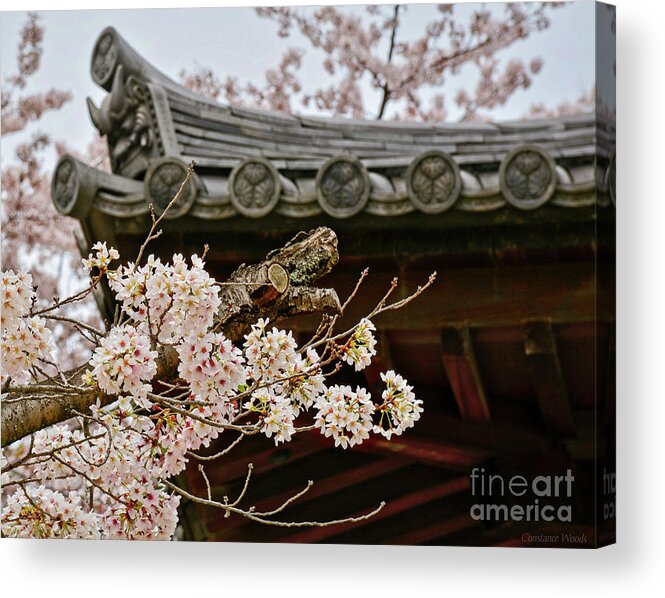 Japan Acrylic Print featuring the photograph Japan In The Spring by Constance Woods