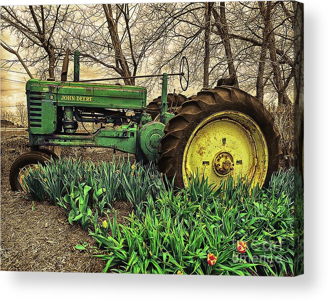 Tractor Acrylic Print featuring the photograph John Deere by Don Schimmel