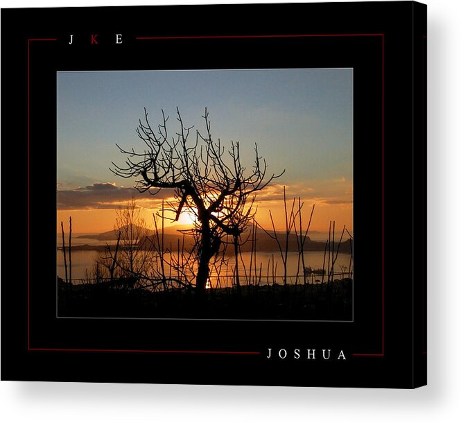 Tree Acrylic Print featuring the photograph Joshua by Jonathan Ellis Keys