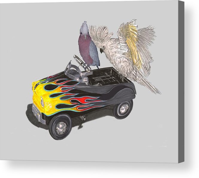 Tee Shirt Watercolor Art Of Julies Pet Parrots Playing In A Restored Vintage Peddle Car Acrylic Print featuring the painting Julies Kids by Jack Pumphrey