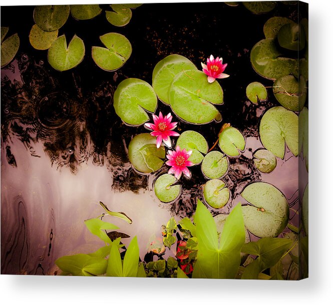 Koi Acrylic Print featuring the photograph Koi Pond with Water Lilies by Hermes Fine Art