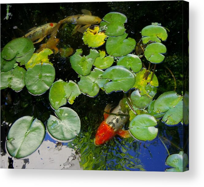 Koi Acrylic Print featuring the photograph Koi With Lily Pads D by Phyllis Spoor