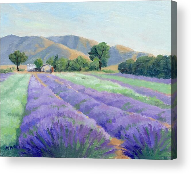 California Landscape Acrylic Print featuring the painting Lavender Lines by Sandy Fisher