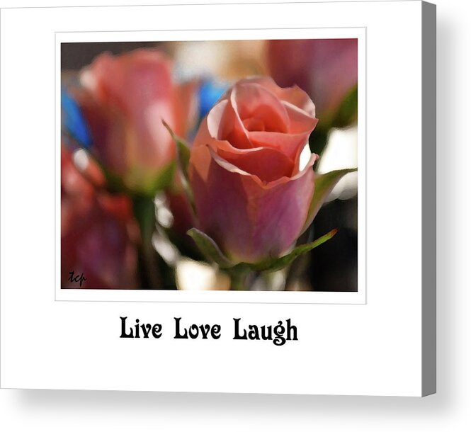Rose Acrylic Print featuring the photograph Live Love Laugh by Traci Cottingham