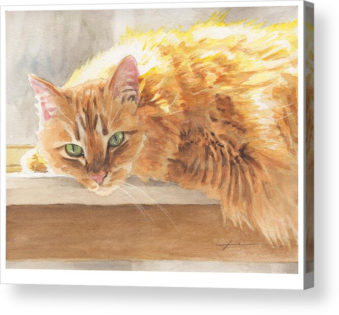 Www.miketheuer.com Orange Maine Coon Cat Watercolor Portrait Acrylic Print featuring the painting Long-hair Cat by Mike Theuer