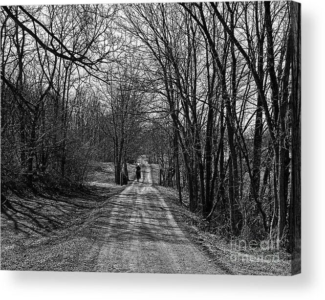 Amish Acrylic Print featuring the photograph Long Walk Home by Tom Griffithe