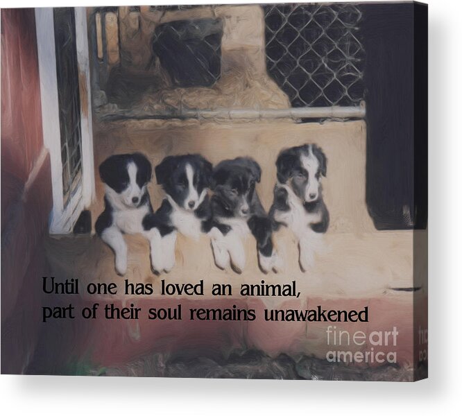 Quote Acrylic Print featuring the painting Love For Animals Inspirational Quote by Smilin Eyes Treasures