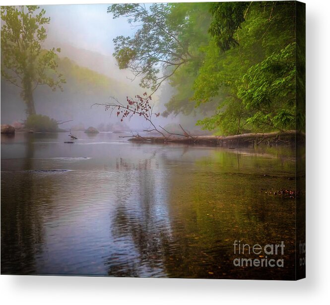 Farmington River Acrylic Print featuring the photograph Luminosity by Tom Cameron