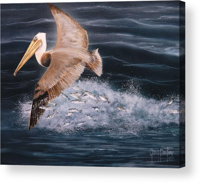 Pelican Acrylic Print featuring the painting Lunch is Ready by Gary Partin