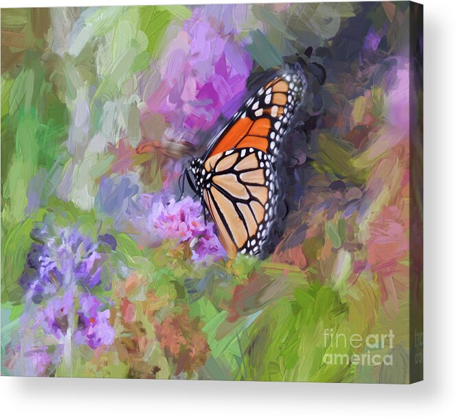 Monarch Acrylic Print featuring the photograph Magical Monarch Butterfly by Kerri Farley