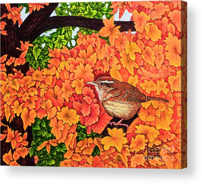 Wren Acrylic Print featuring the painting Marsh Wren by Michael Frank
