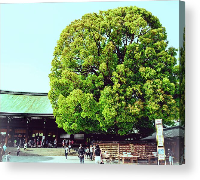 Temple Acrylic Print featuring the photograph Meiji Shrine by Nisah Cheatham