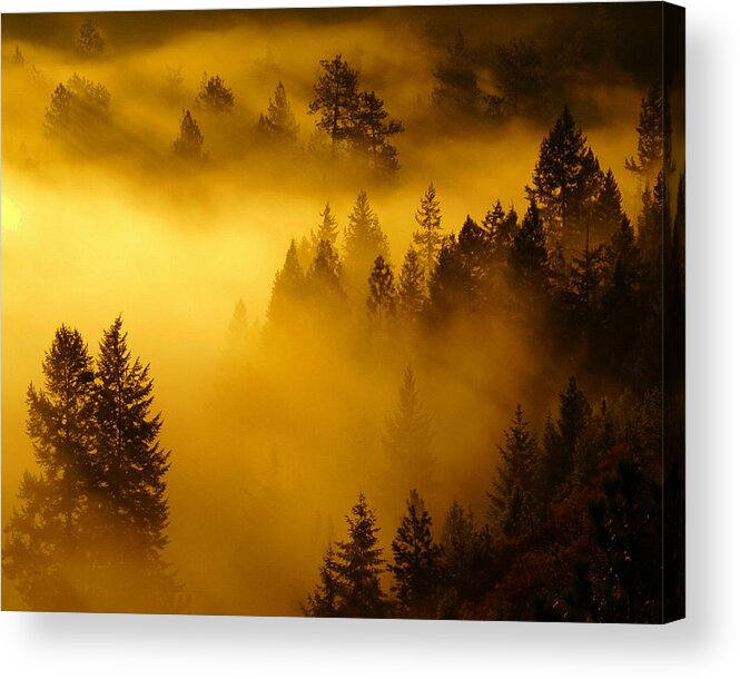 Nature Acrylic Print featuring the photograph Misty Morning Sunrise by Ben Upham III