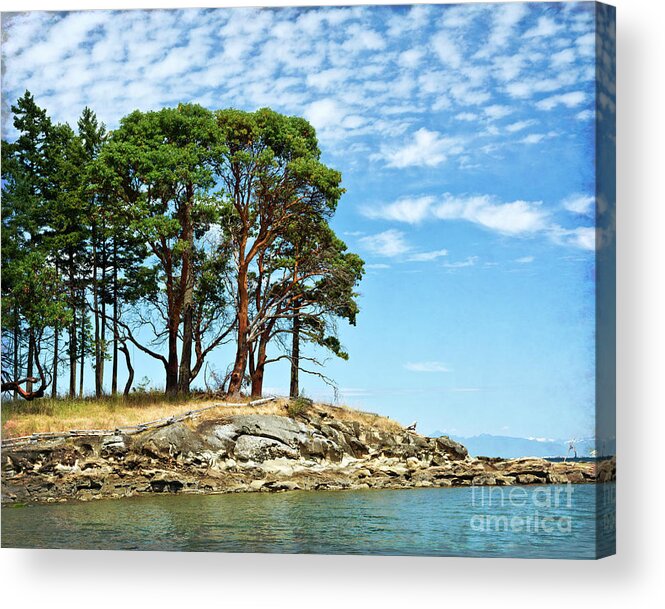Galiano Island Acrylic Print featuring the photograph Morning Beach Arbutus Trees by Maria Janicki