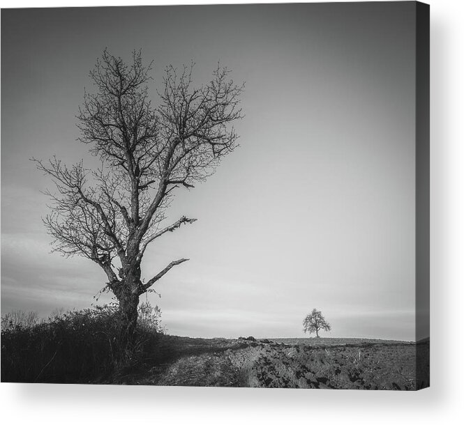 Landscape Acrylic Print featuring the photograph Neighbours by Davorin Mance