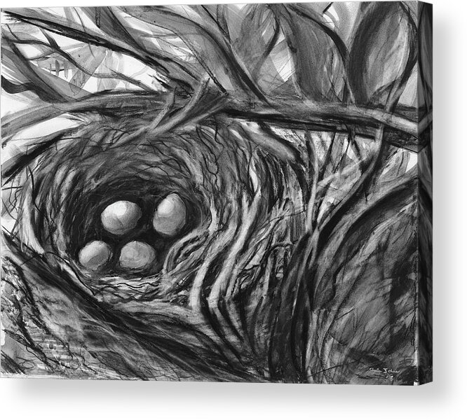 Bird Acrylic Print featuring the painting Nesting Eggs by Sheila Johns